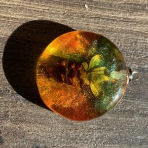 “Mała szyszka II”