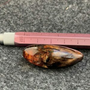 “Drewniany bursztyn”