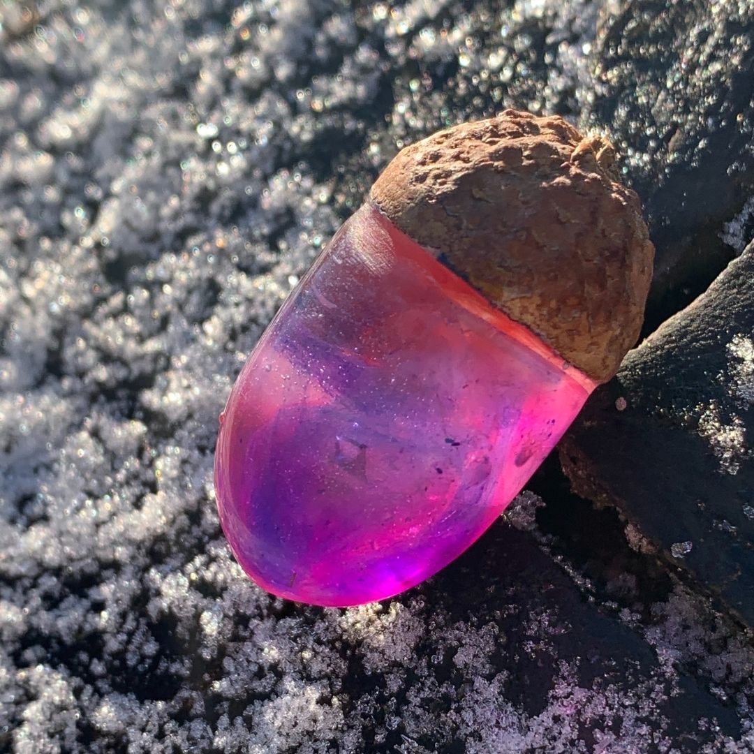 Różowy orzeszek - obrazek 2