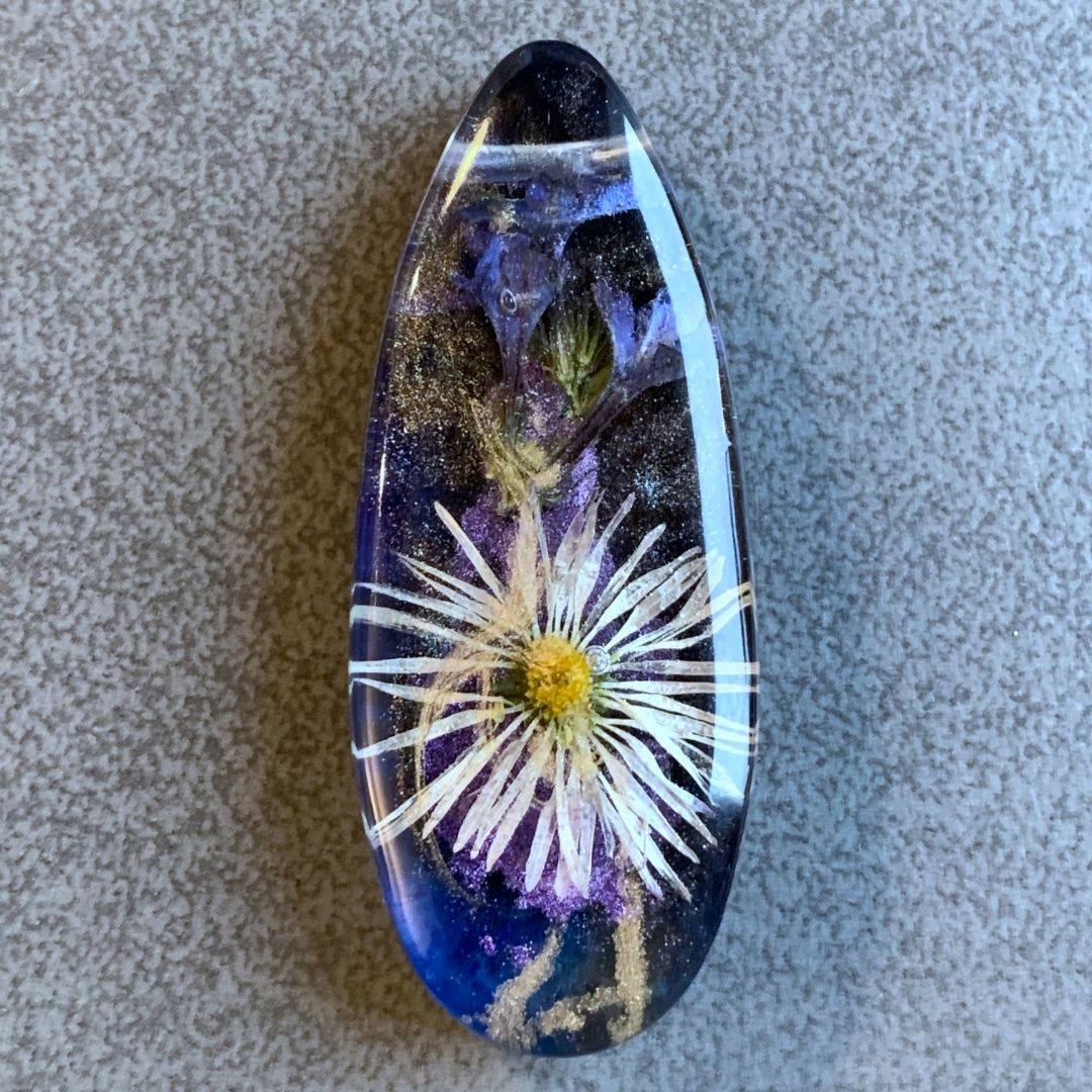 Stokrotka w błękicie