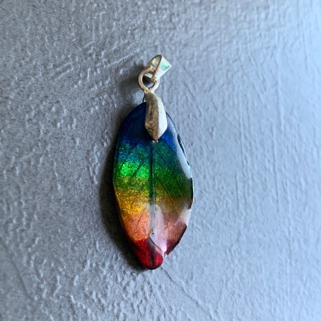 Tęczowy listek - obrazek 2